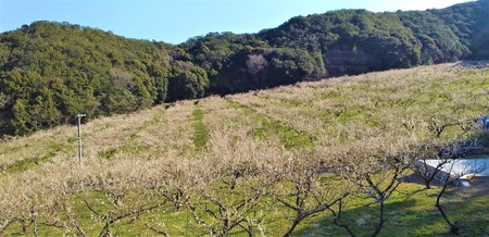 DSC_0176.jpg